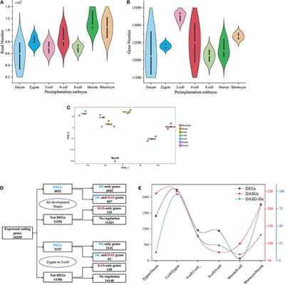 Dynamic Alternative Splicing During Mouse Preimplantation Embryo Development